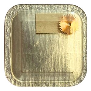 Omega 550 - 1231 Roue des heures (à l'unité) - Hour wheel (per unit)