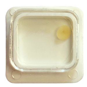 Pulsar Y561A - 250 Roue des heures (à l'unité) - Hour wheel (per unit)