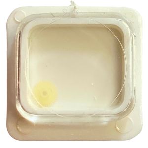 Pulsar Y562A - 250 Roue des heures (à l'unité) - Hour wheel (per unit)