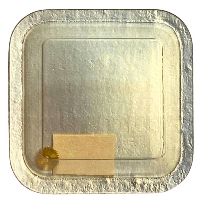 PUW 500 - 250 Roue des heures (à l'unité) - Hour wheel (per unit)