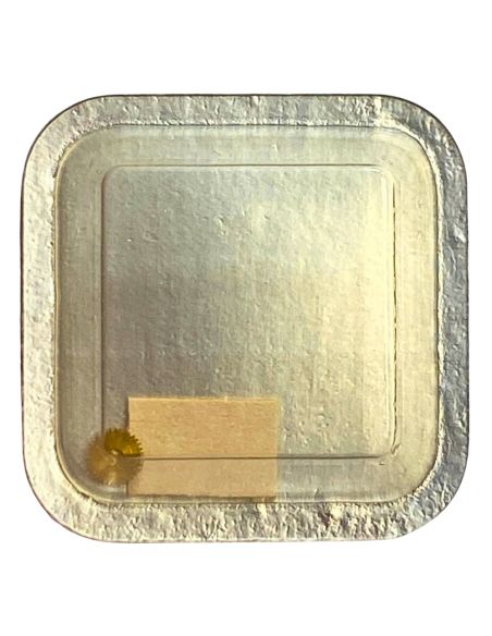 PUW 500 - 250 Roue des heures (à l'unité) - Hour wheel (per unit)