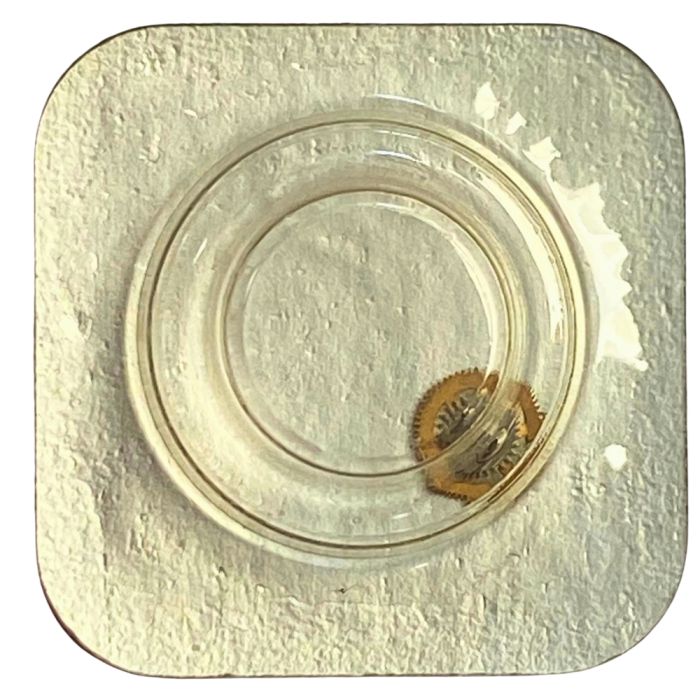 PUW 632 - 201 Roue de centre sans chaussée (à l'unité) - Center wheel and pinion without cannon pinion (per unit)