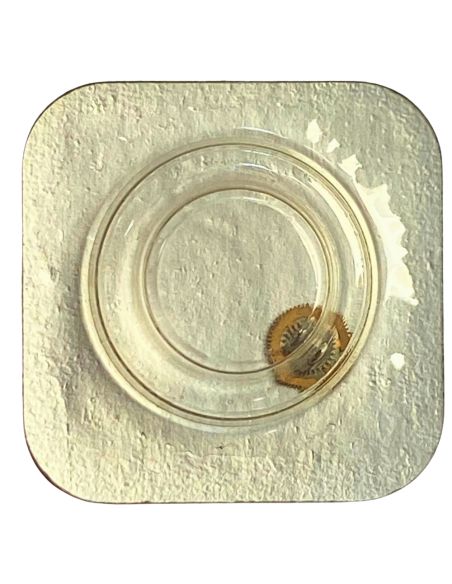 PUW 632 - 201 Roue de centre sans chaussée (à l'unité) - Center wheel and pinion without cannon pinion (per unit)