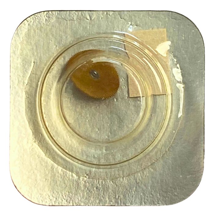 Roamer 520.523 - 203 Roue intermédiaire (à l'unité) - Intermediate wheel and pinion (per unit)