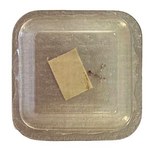 Zenith 1730 - 710 Ancre montée (à l'unité) - Jewelled pallet fork and staff (per unit)