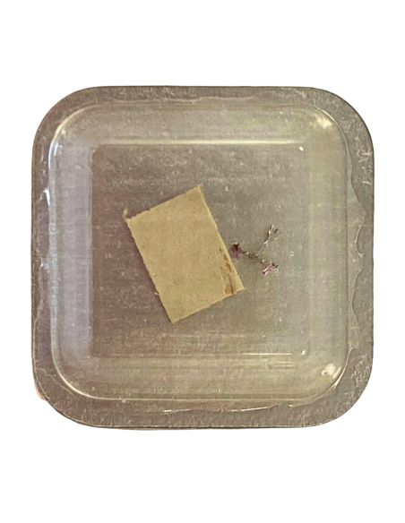 Zenith 1730 - 710 Ancre montée (à l'unité) - Jewelled pallet fork and staff (per unit)