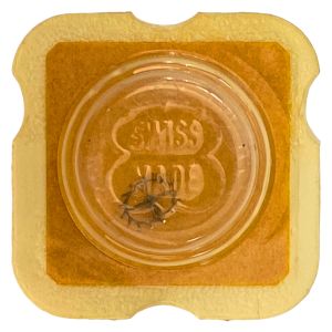 FHF 81 - 705 Roue d'ancre pivotée (à l'unité) - Escape wheel and pinion with straight pivots (per unit)