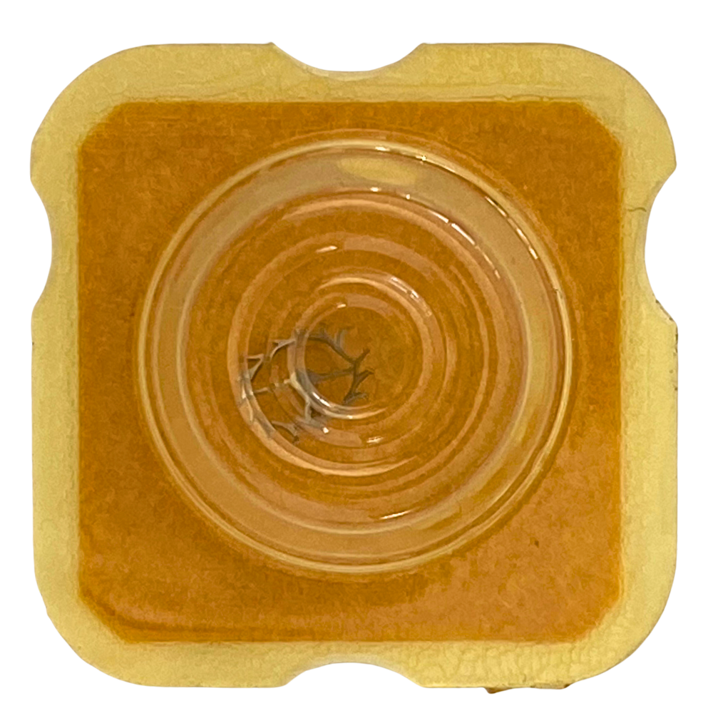 FE 5611 - 705 Roue D'ancre Pivotée  à L'unité  - Escape Wheel And Pinion With Straight Pivots Per Unit