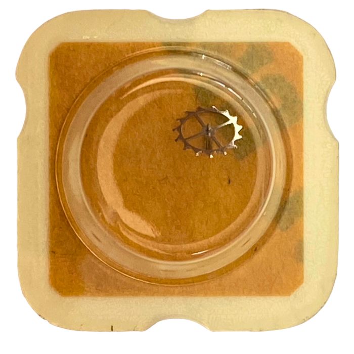 FHF 371 - 705 Roue d'ancre pivotée (à l'unité) - Escape wheel and pinion with straight pivots (per unit)