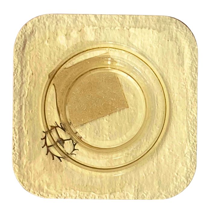 Roamer 470.471 - 705 Roue d'ancre pivotée (à l'unité) - Escape wheel and pinion with straight pivots (per unit)