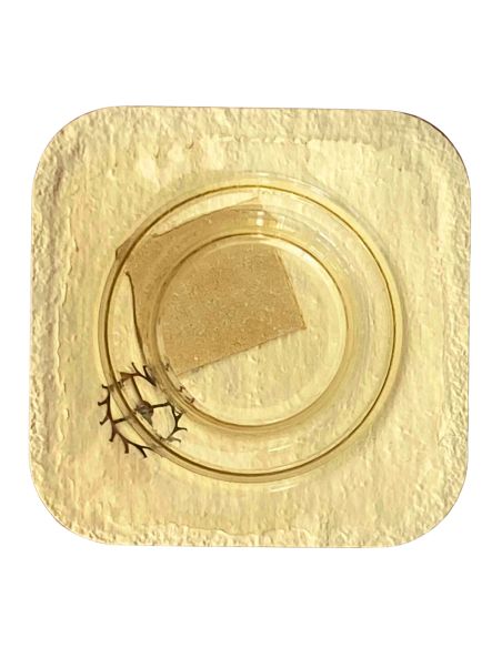 Roamer 470.471 - 705 Roue d'ancre pivotée (à l'unité) - Escape wheel and pinion with straight pivots (per unit)