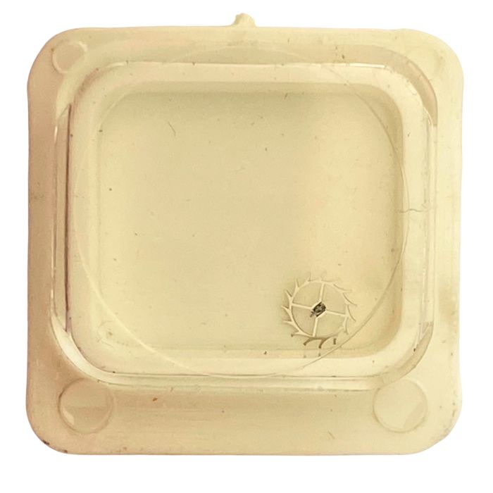 Omega 244 - 1305 Roue d'ancre pivotée (à l'unité) - Escape wheel and pinion with straight pivots (per unit)