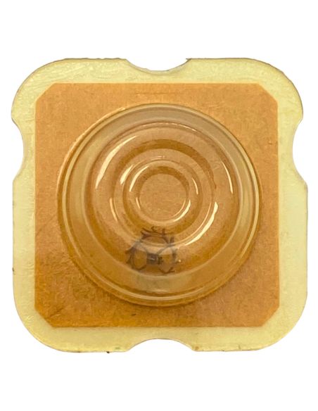 AS 1656 - 705 Roue d'ancre pivotée (à l'unité) - Escape wheel and pinion with straight pivots (per unit)