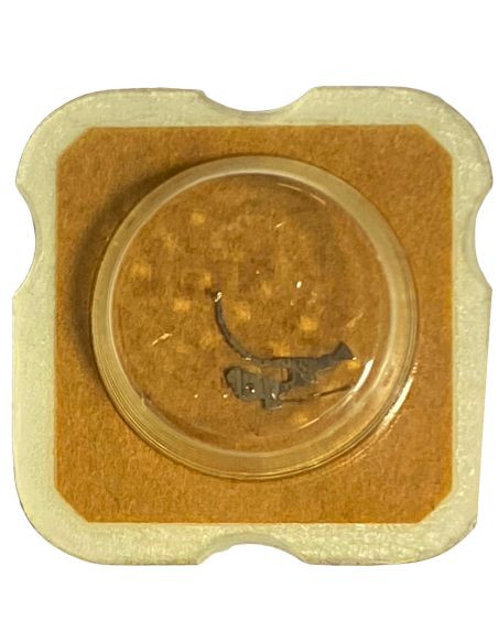 AS 5005 - 2567 Correcteur des jours (à l'unité) - Day corrector (per unit)