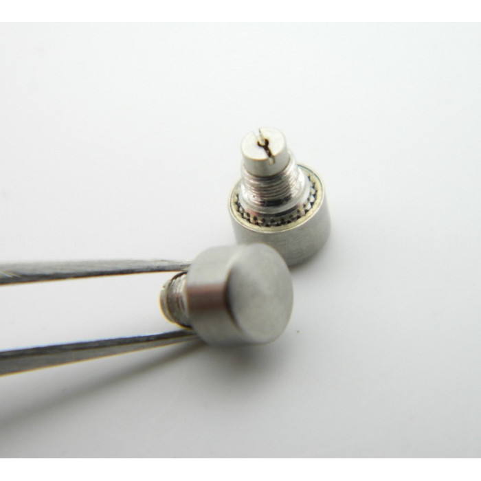 Omega Seamaster Albatross Poussoirs