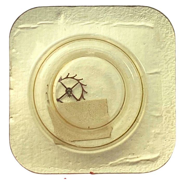 Enicar 1160 - 705 Roue d'ancre pivotée (à l'unité) - Escape wheel and pinion with straight pivots (per unit)