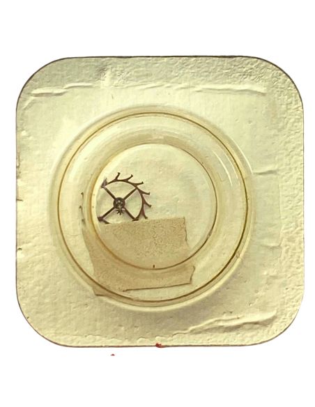 Enicar 1160 - 705 Roue d'ancre pivotée (à l'unité) - Escape wheel and pinion with straight pivots (per unit)