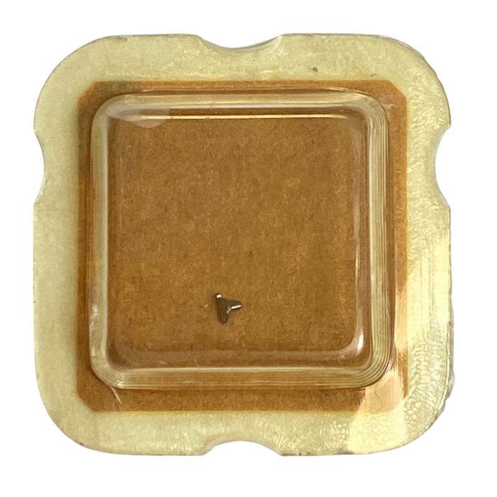 ETA 255.111 - 2566 Correcteur de quantième (à l'unité) - Date corrector (per unit)