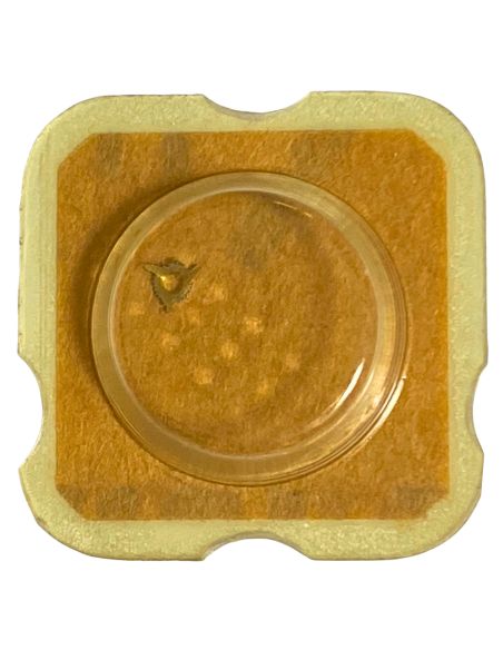 ETA 2648 - 2567 Correcteur des jours (à l'unité) - Day corrector (per unit)