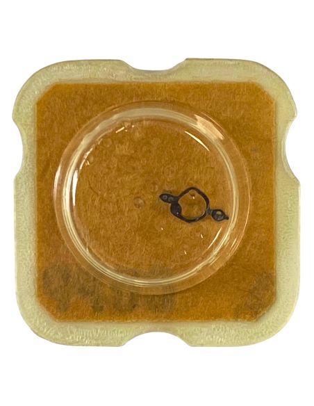 ETA 746 - 301 Raquette pour spiral plat (à l'unité) - Regulator for flat hairspring (per unit)