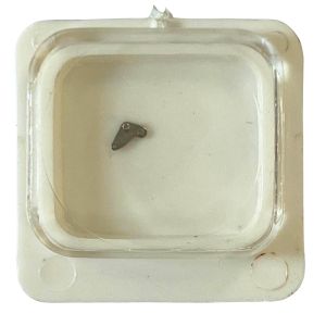 Harley 7875 - 443 Tirette (à l'unité) - Setting lever (detent) (per unit)