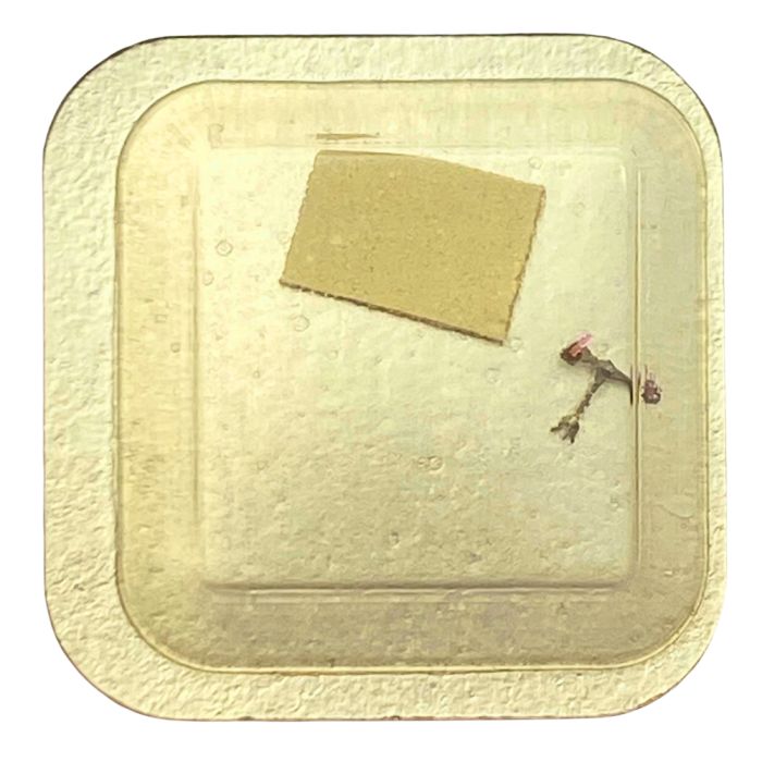 Longines 290 - 710 Ancre montée (à l'unité) - Jewelled pallet fork and staff (per unit)