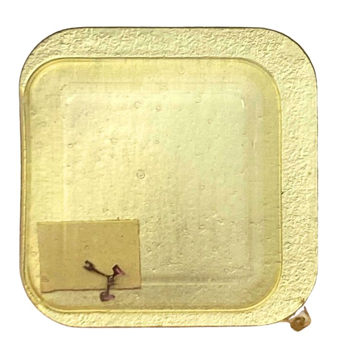 Longines 410 - 710 Ancre montée (à l'unité) - Jewelled pallet fork and staff (per unit)