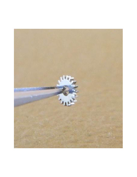 F.E.F 350 Pignon de remontoir