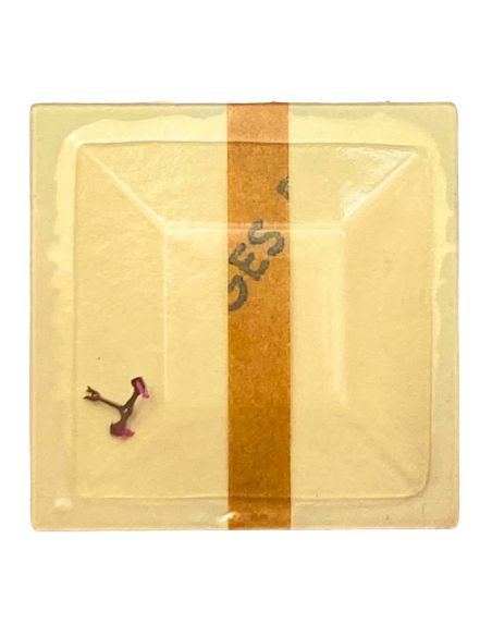 PUW 73 - 710 Ancre montée (à l'unité) - Jewelled pallet fork and staff (per unit)