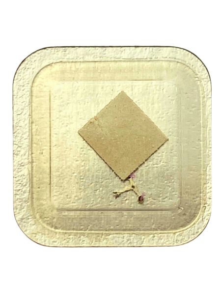 Tissot 2180 - 710 Ancre montée (à l'unité) - Jewelled pallet fork and Tissotaff (per unit)