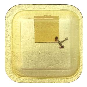 Tissot 2770/80 - 710 Ancre montée (à l'unité) - Jewelled pallet fork and Tissotaff (per unit)