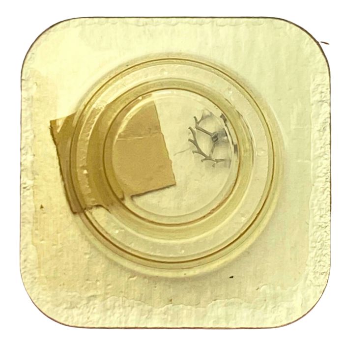 Certina 17-25 - 705 Roue d'ancre pivotée (à l'unité) - Escape wheel and pinion with straight pivots (per unit)