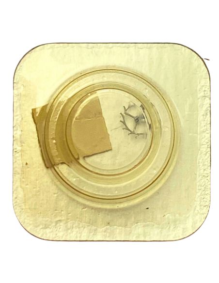 Certina 17-25 - 705 Roue d'ancre pivotée (à l'unité) - Escape wheel and pinion with straight pivots (per unit)