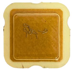 ETA 2410 - 430 Ressort de cliquet (à l'unité) - Click spring (per unit)