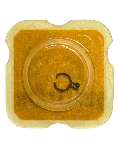 ETA 2450 - 307 Raquette avec porte-piton mobile pour spiral plat (à l'unité) - Regulator with adjustable stud holder for flat ha