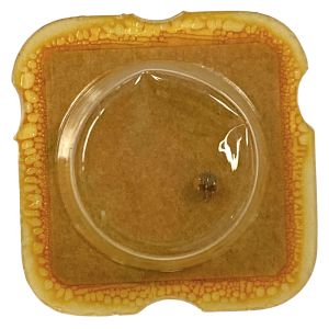 ETA 927.001 - 227 Roue de seconde au centre (à l'unité) - Sweep second wheel and pinion (per unit)