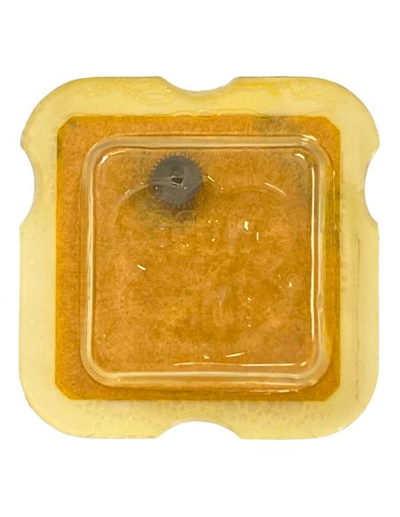 FHF 34 - 250 Roue des heures (à l'unité) - Hour wheel (per unit)