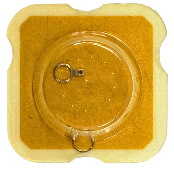 FHF 60/60N - 307 Raquette avec porte-piton mobile pour spiral plat (à l'unité) - Regulator with adjustable stud holder for flat 