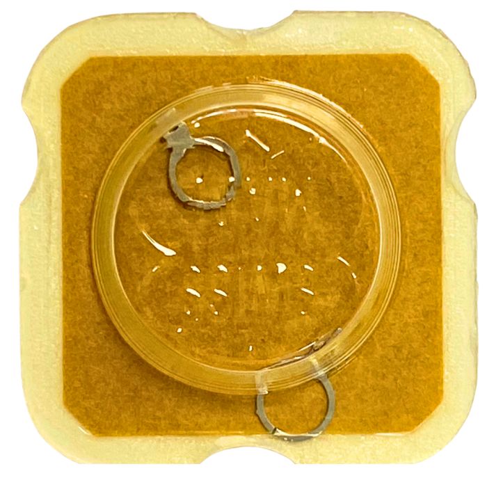 FHF 90-5 - 307 Raquette avec porte-piton mobile pour spiral plat (à l'unité) - Regulator with adjustable stud holder for flat ha