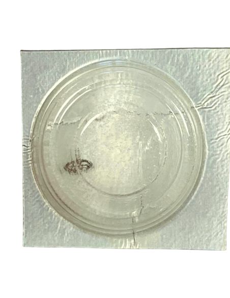 Pulsar 221549 - 227 Roue de seconde au centre (à l'unité) - Sweep second wheel and pinion (per unit)