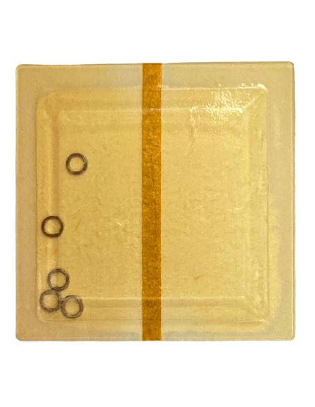 PUW 70 - 422 Bague de roue de couronne (à l'unité) - Crown wheel ring (per unit)