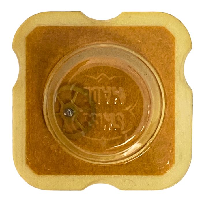 F.E.F 6670 - 201 Roue de centre sans chaussée (à l'unité) - Center wheel and pinion without cannon pinion (per unit)