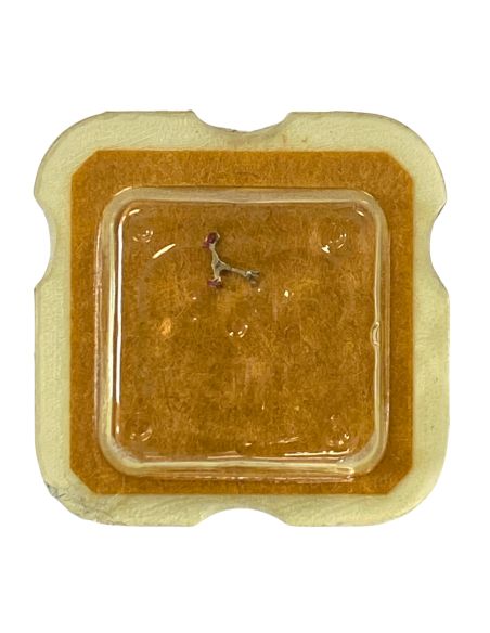 INT 261 - 710 Ancre montée (à l'unité) - Jewelled pallet fork and staff (per unit)