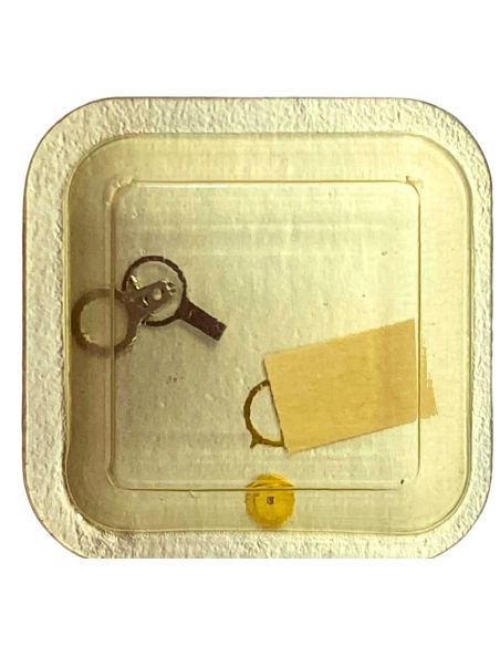 Zenith 2572PC - 307 Raquette avec porte-piton mobile pour spiral plat (à l'unité) - Regulator with adjustable stud holder for fl