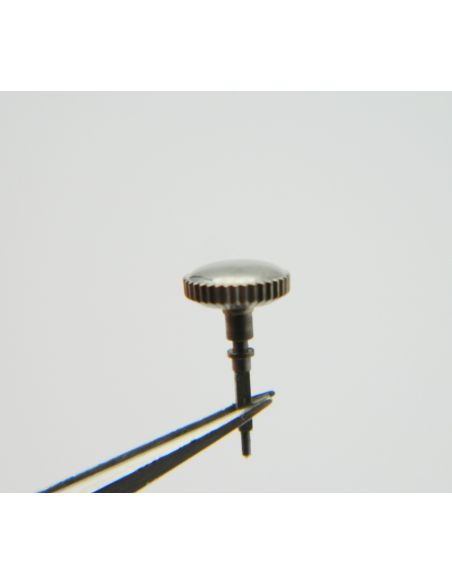 Minerva 13-20 Couronne