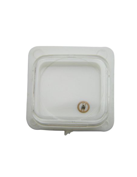 Harley 3873 - 247 Chaussée - Cannon pinion