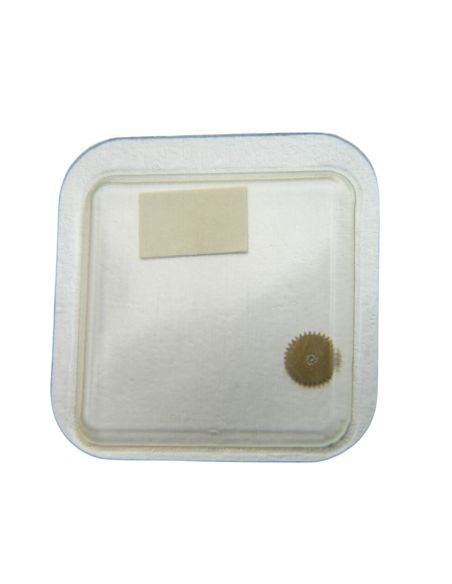 Longines L.645.1 - 260 Roue de minuterie (à l'unité) - Minute wheel (per unit)