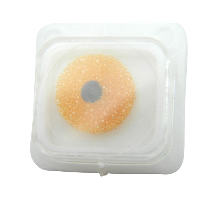 Miyota 6P29 - 260 Roue de minuterie (à l'unité) - Minute wheel (per unit)