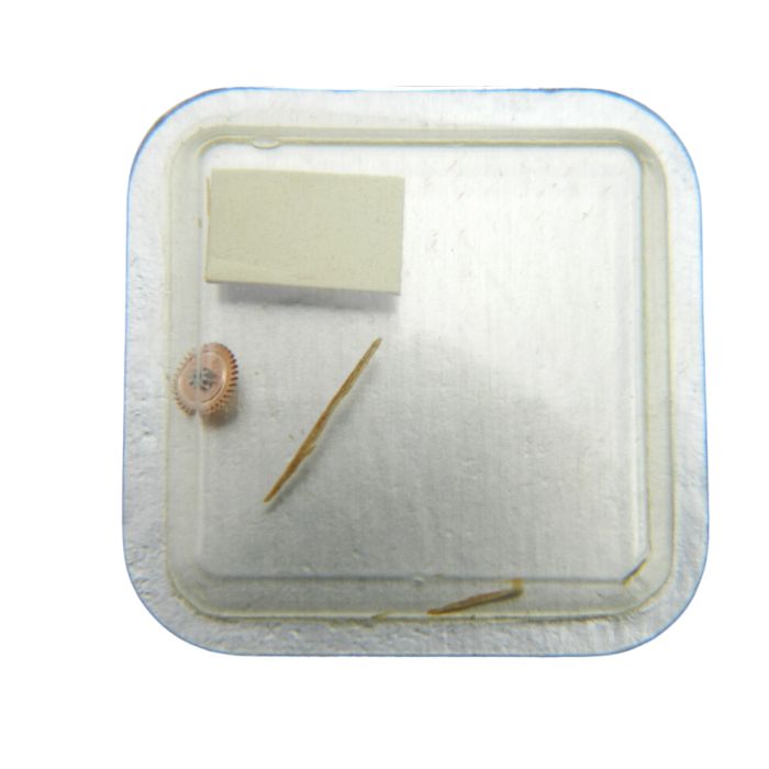 Omega 660 - 1246 Roue de minuterie (à l'unité) - Minute wheel (per unit)