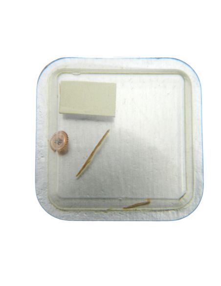 Omega 660 - 1246 Roue de minuterie (à l'unité) - Minute wheel (per unit)